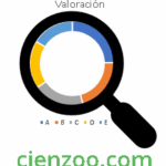Programa de afiliados